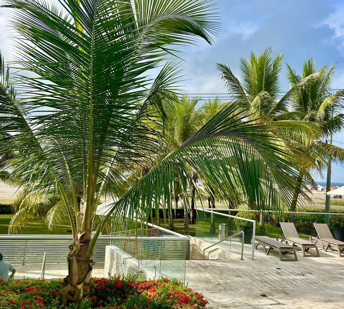 Apartamento Mar Y Piscina Gigante En El Caribe