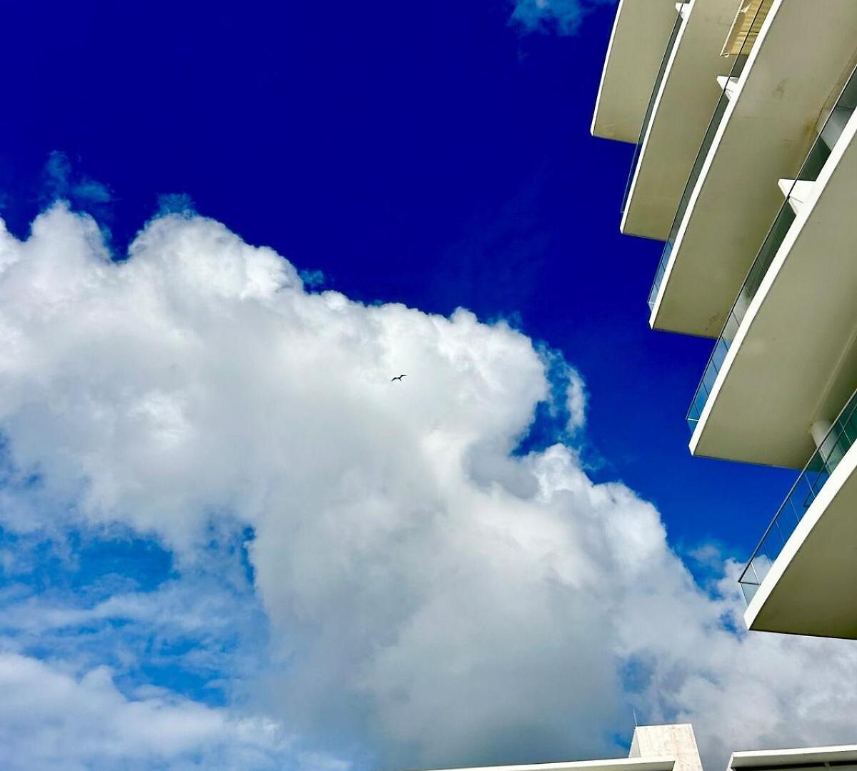 Apartamento Mar Y Piscina Gigante En El Caribe *