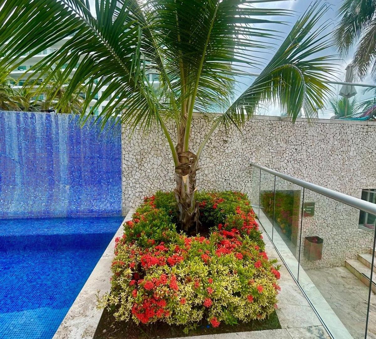 Apartamento Mar Y Piscina Gigante En El Caribe *