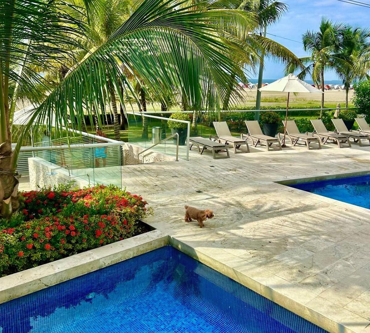 Apartamento Mar Y Piscina Gigante En El Caribe Cartagena